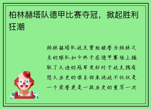柏林赫塔队德甲比赛夺冠，掀起胜利狂潮