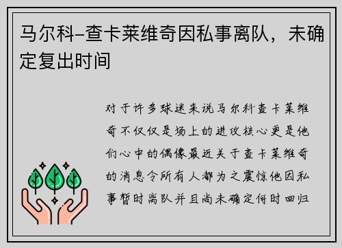 马尔科-查卡莱维奇因私事离队，未确定复出时间